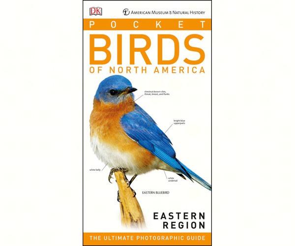 Pocket Birds of North America, Eastern Region