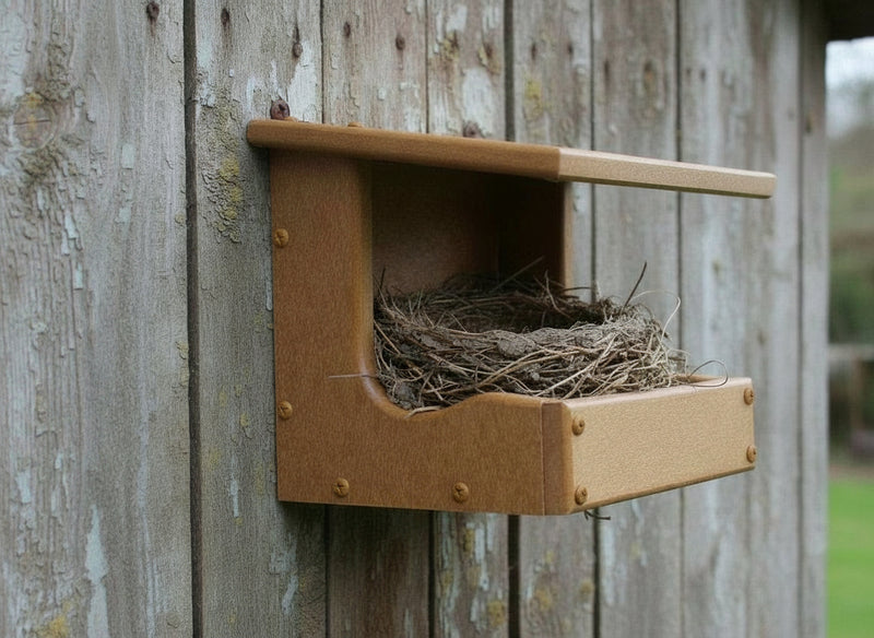 recycled nest shelf on the side of a garden shed with a robin nest in it