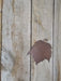 Red Maple #1 Leaf Ornament - Veined Copper