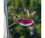 Ruby Sipper Window Hummingbird Feeder