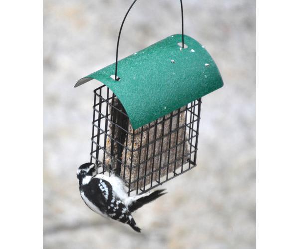 Deluxe Double Suet Cage with Green Metal Roof