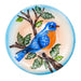 Bluebird Bird Bath Dish