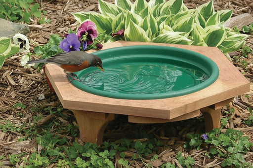 Mini Garden Bird Bath Green in garden
