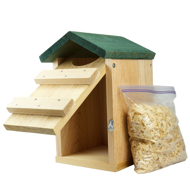 Screech Owl House opened