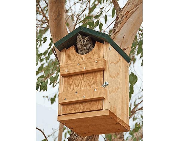 Songbird Essentials Screech Owl and Kestrel House - Thumbnail 5
