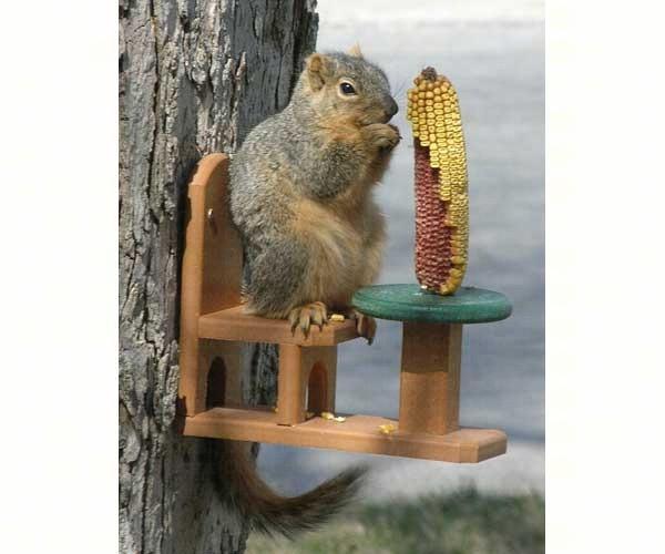 Squirrel Feeder Table & Chair