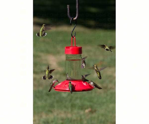 Cheap hummingbird feeder