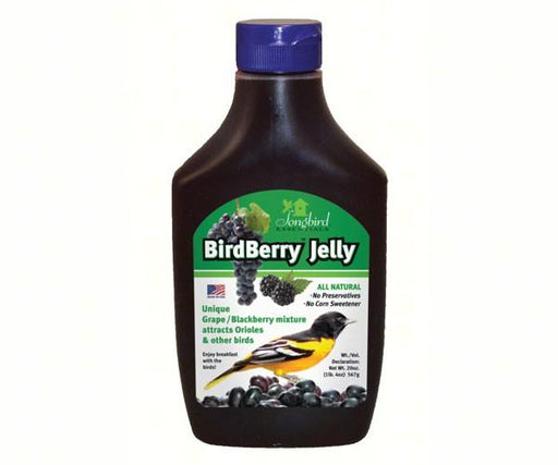 birdberry oriole jelly