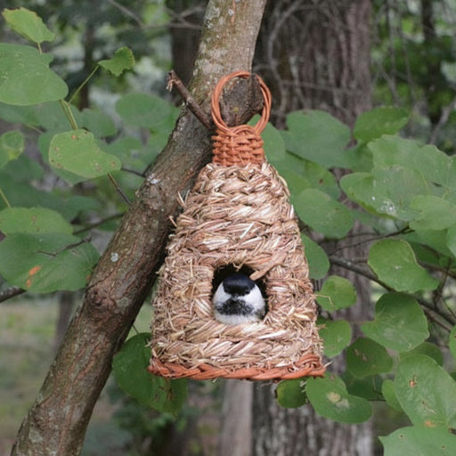 Roosting Pocket Hive Hanging Grass in use