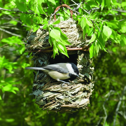  Acorn Hanging Roosting House