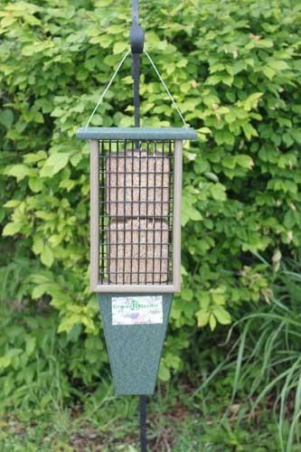 Double Suet Feeder with Tail Prop for woodpeckers