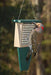 Suet Feeder with Tail Prop for woodpecker