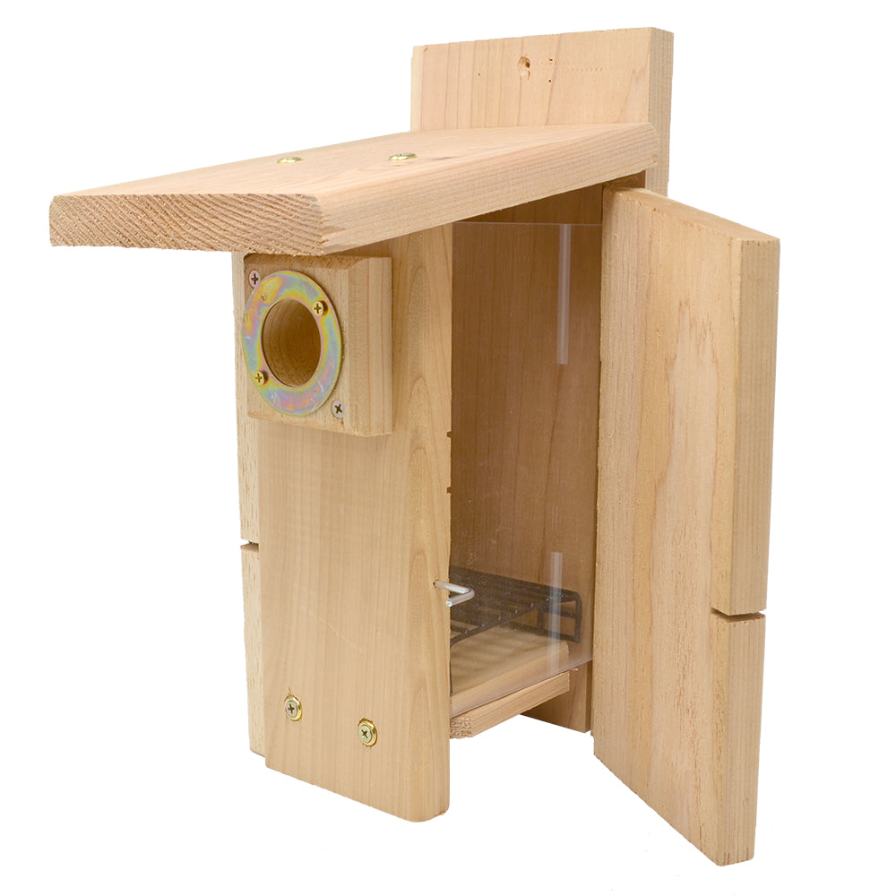 Songbird Essentials Western/Mountain Bluebird House - Thumbnail 2