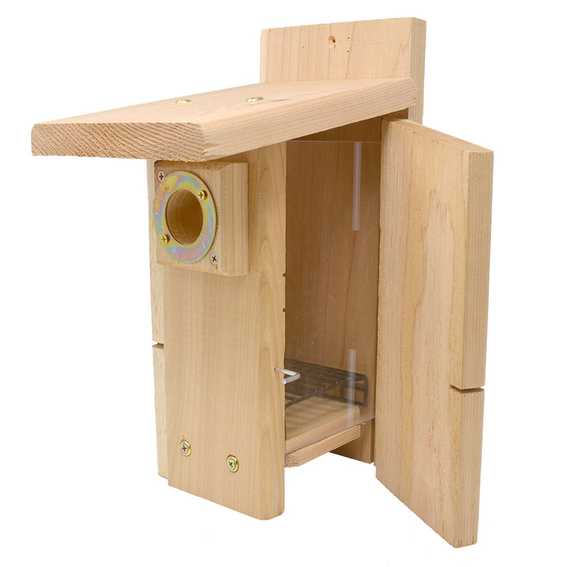 Ultimate Bluebird House with Metal Portal with viewing door open