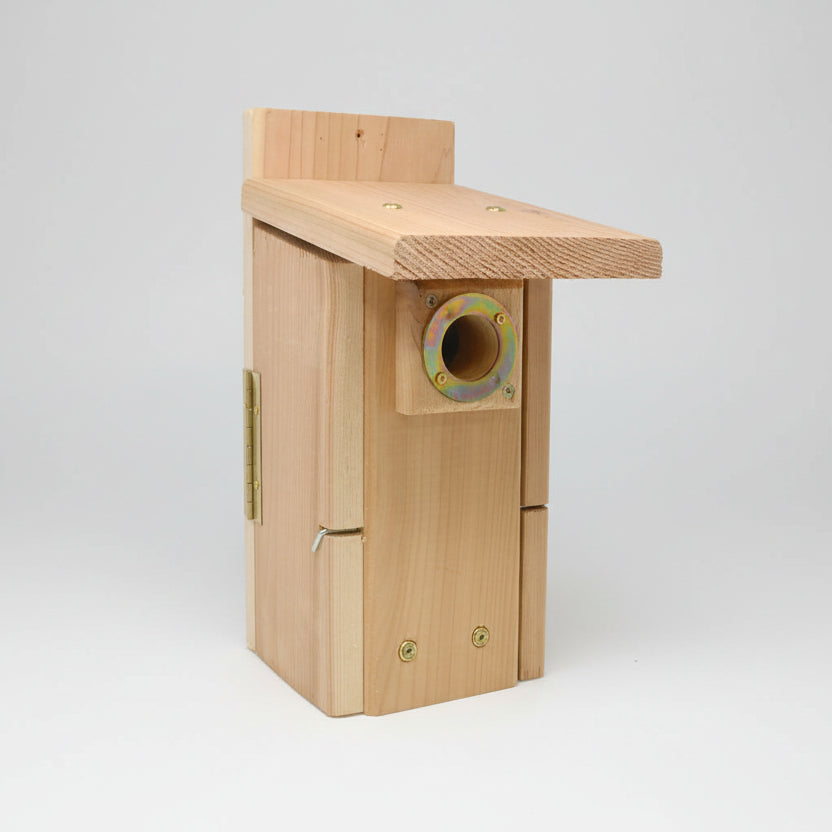 Songbird Essentials Western/Mountain Bluebird House