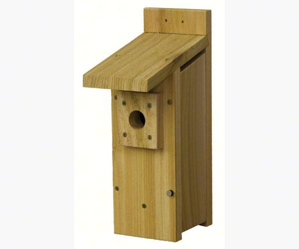 Large Chickadee/Wren House