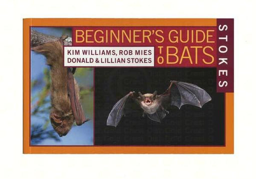 Beginning Guide to Bats