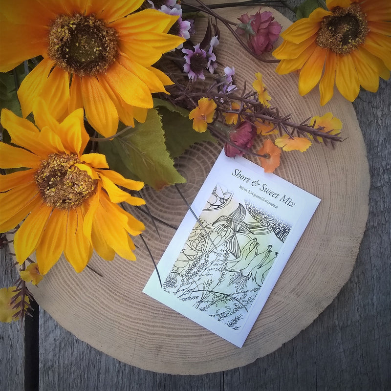 Wildflower Autumn Seed Sowing Kit