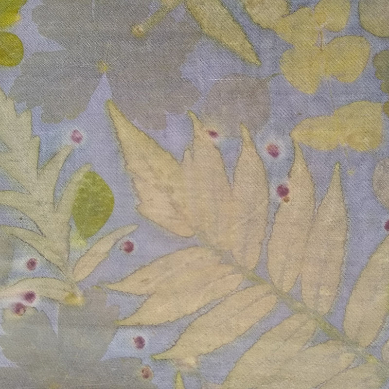 Silk Wool Blend-Logwood + Baptisia + Spurge