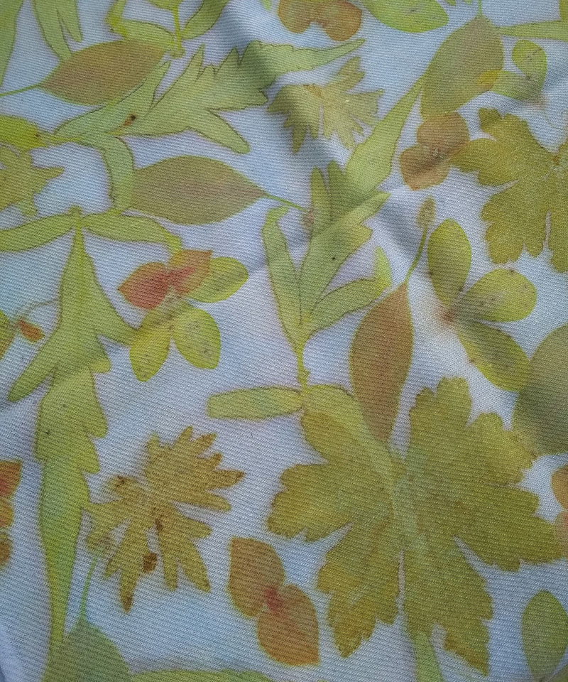 Silk/Wool Blend Scarf - Acid-Sumac, Scented Geranium, Eucalyptus, Cranes Bill, Baptista