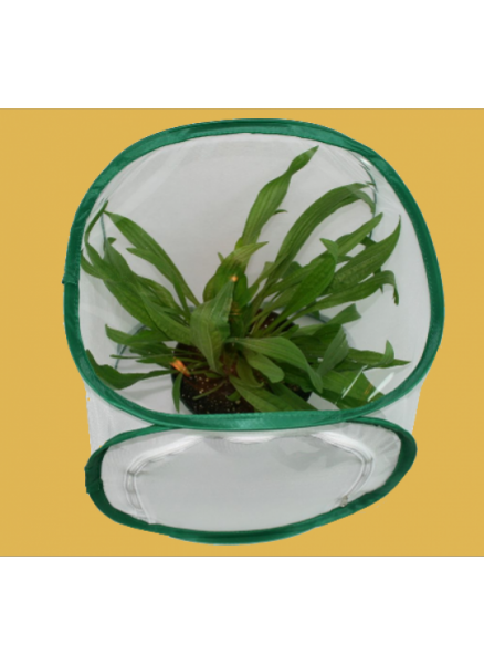 Small Butterfly Habitat