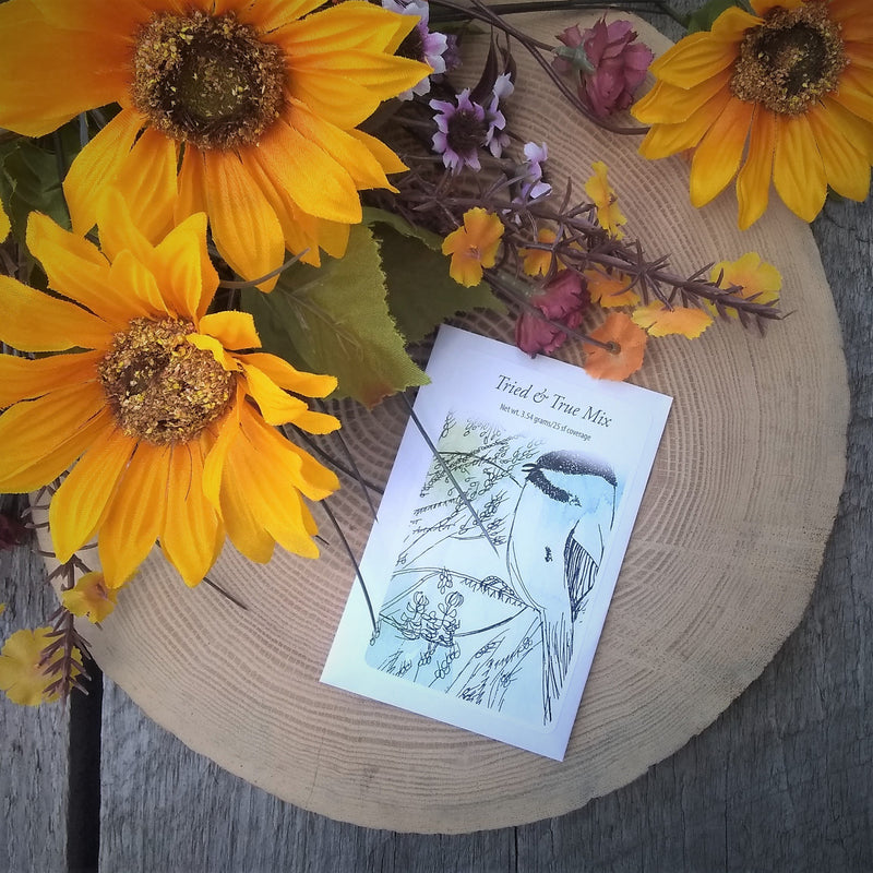 Wildflower Autumn Seed Sowing Kit