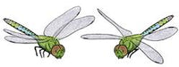 Jabebo dragonfly earrings