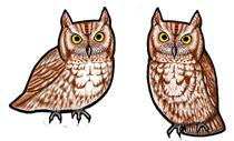 Jabebo screech owl earings