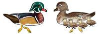 Jabebo wood duck earrings
