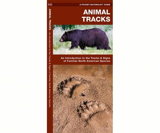 Animal Tracks guide