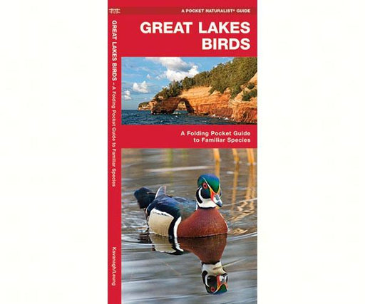 Great Lakes Birds guide