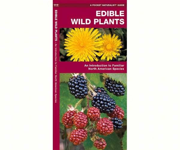 Edible Wild Plants guide