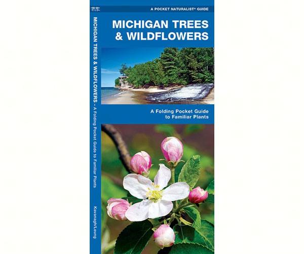 Michigan Trees and Wildflowers