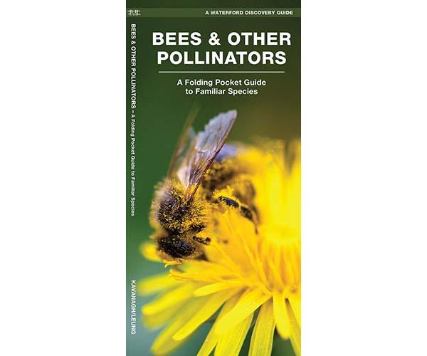 Bees & Other Pollinators A Folding Pocket Guide to Familiar Species