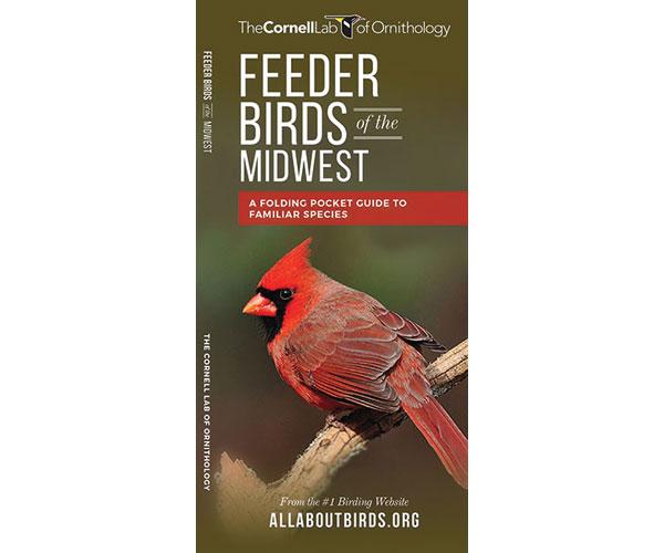 Feeder Birds of the Midwest guide