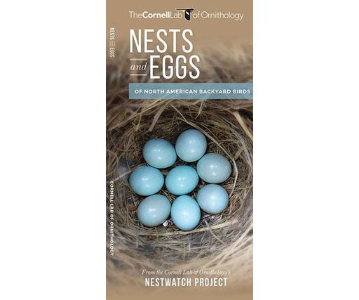 Nest and Eggs guide