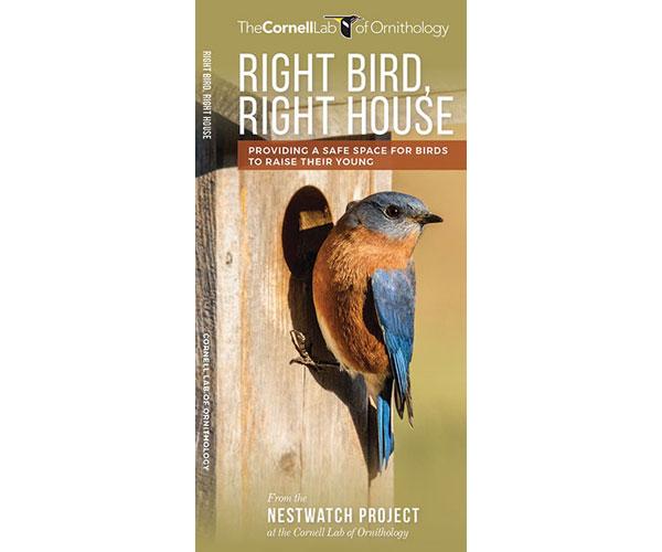 Right Bird, Right House guide