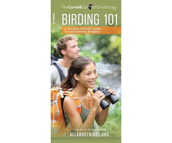 Birding 101 guide