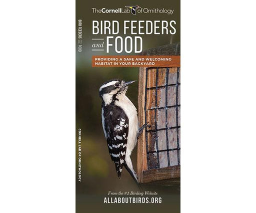Bird Feeders & Food guide