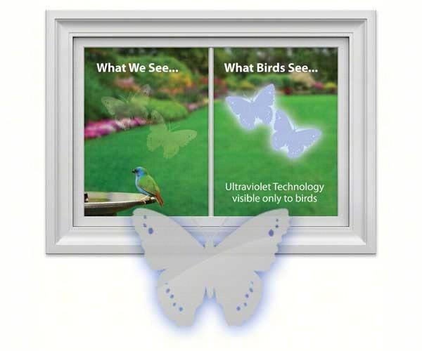 Butterfly Window Decal 