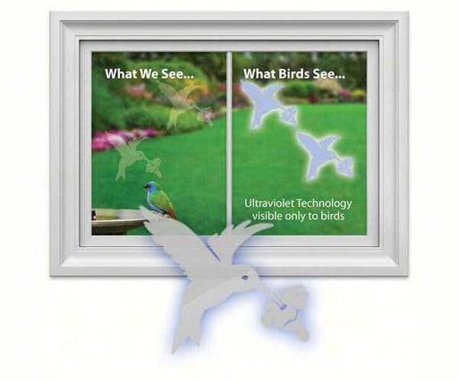 Hummingbird UV window Decal
