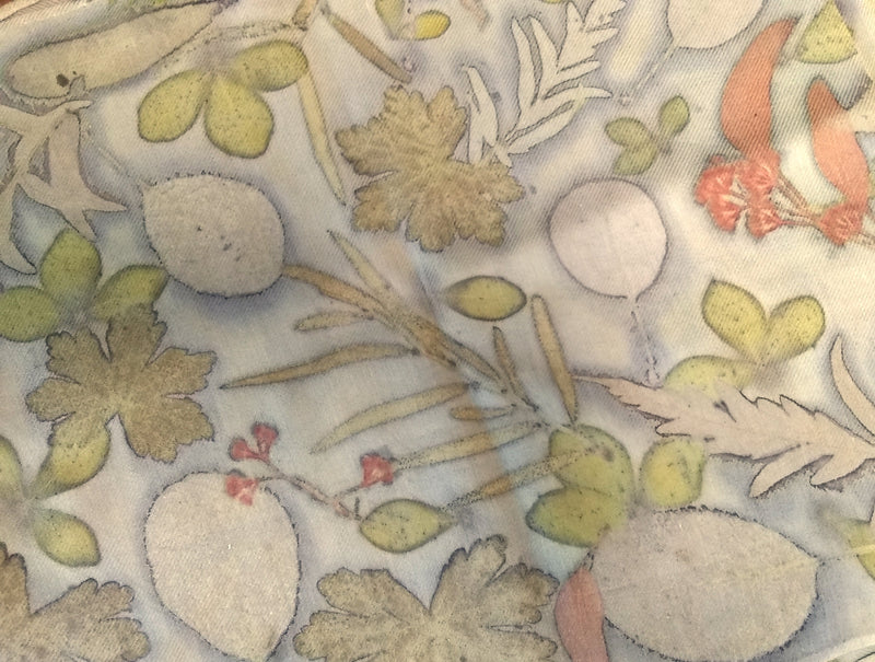 Silk/Wool Blend Scarf-Weld-Sumac/Scented Geranium/Eucalyptus/Smoke bush/ Baptisia