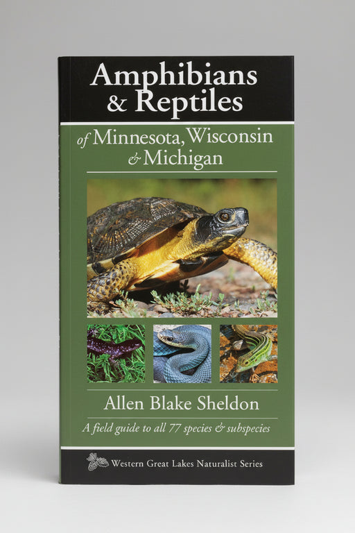 Amphibians & Reptiles