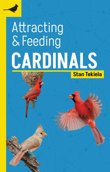 Attracting and Feeding Cardinals
