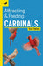Attracting and Feeding Cardinals