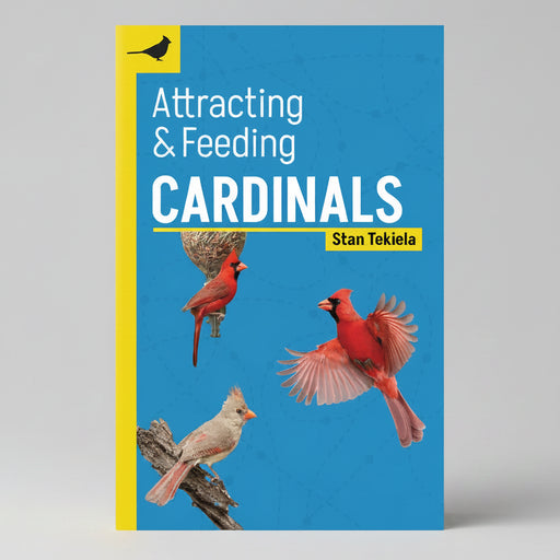 Attracting and Feeding Cardinals