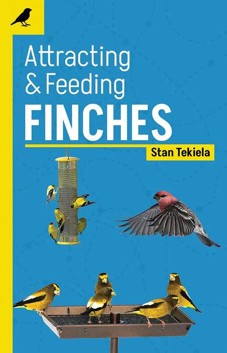 Attracting and Feeding Finches