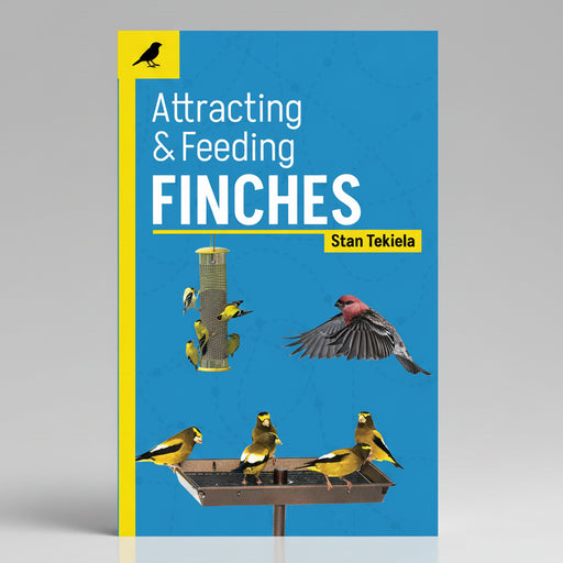 Attracting and Feeding Finches