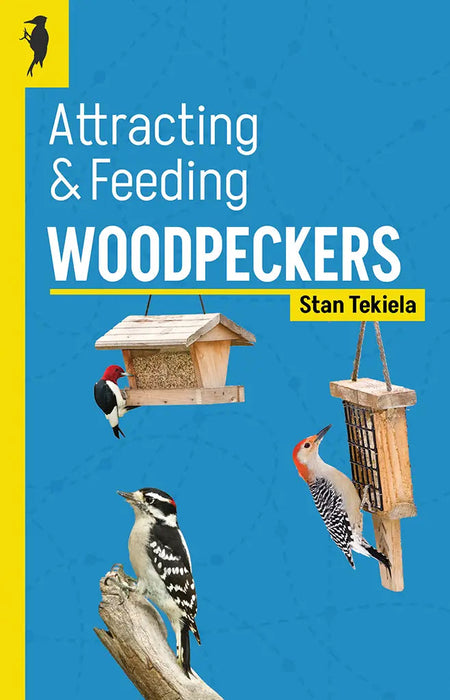 Attracting and Feeding Woodpeckers