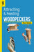 Attracting and Feeding Woodpeckers
